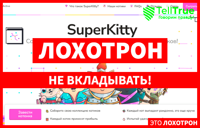 Superkitty (super-kitty.com): обзор и отзывы