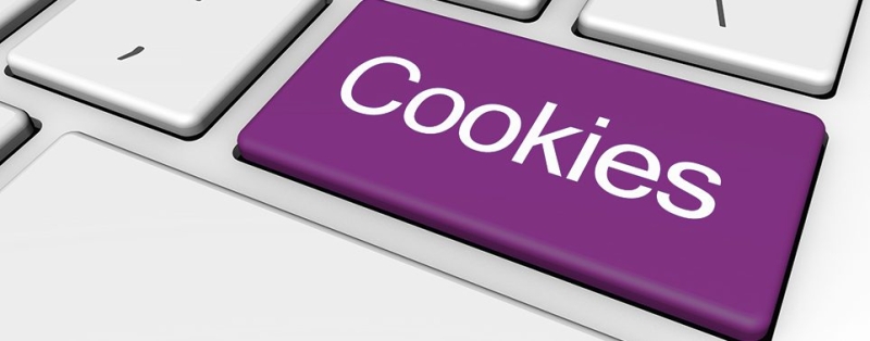 Что такое файлы cookies и для чего используются?