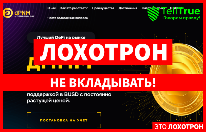 DPNM (dpnmdefi.com): обзор и отзывы