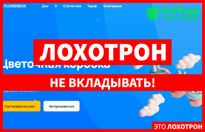 Flowerbox (flowerbox.cc): обзор и отзывы!