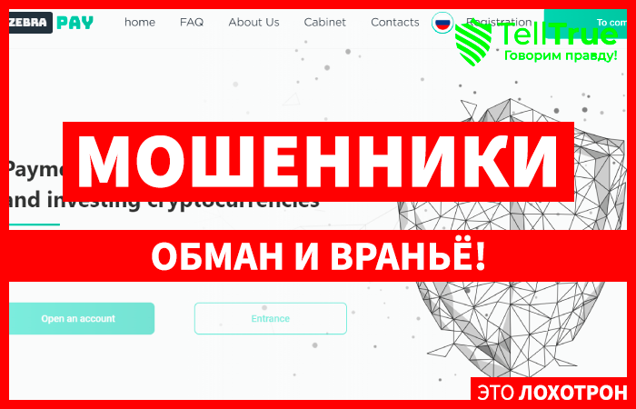 ZEBRA PAY (zebra-pay.xyz) платежная система от мошенников!