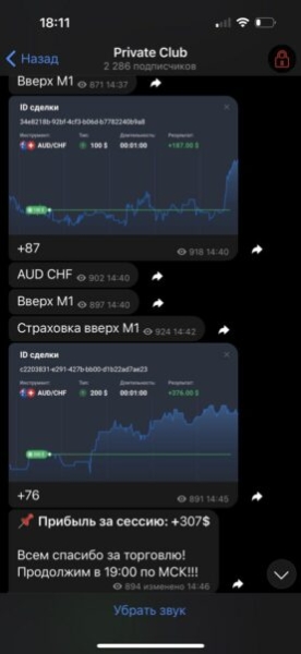 Бинарная Мудрость